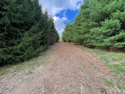 Land for Sale in Pilot VA - image 8