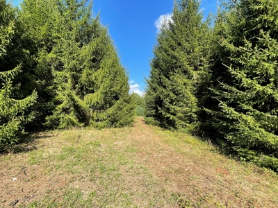 Land for Sale in Pilot VA - image 17