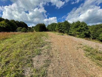 Land for Sale in Pilot VA - image 5
