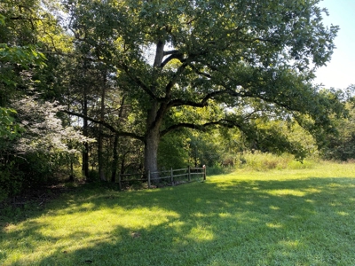Arkansas Acreage With Big Spring - image 29