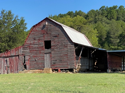 Arkansas Acreage With Big Spring - image 36