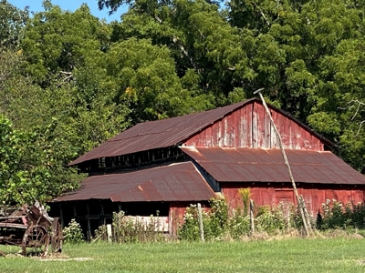 Arkansas Acreage With Big Spring - image 35