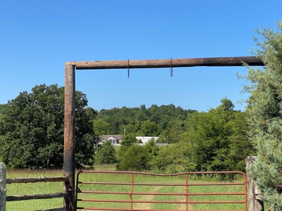 Arkansas Acreage With Big Spring - image 39
