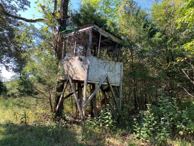 Arkansas Acreage With Big Spring - image 31