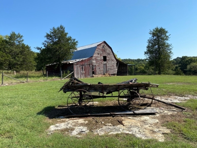 Arkansas Acreage With Big Spring - image 34