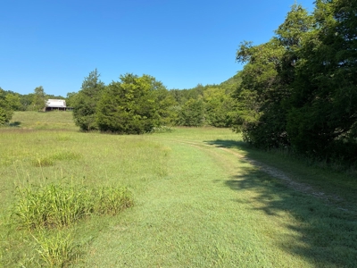 Arkansas Acreage With Big Spring - image 6