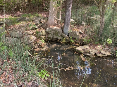 Arkansas Acreage With Big Spring - image 13