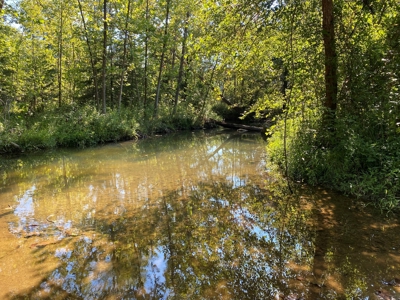 Arkansas Acreage With Big Spring - image 11