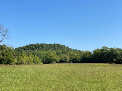 Arkansas Acreage With Big Spring - image 7