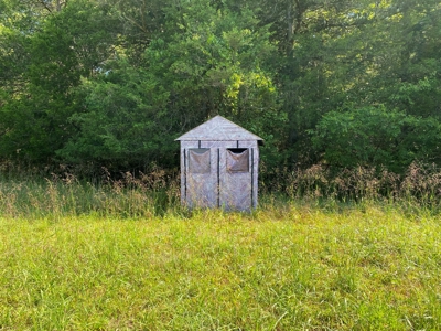 Arkansas Acreage With Big Spring - image 32