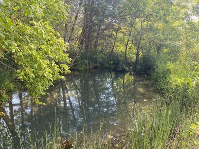 Arkansas Acreage With Big Spring - image 10