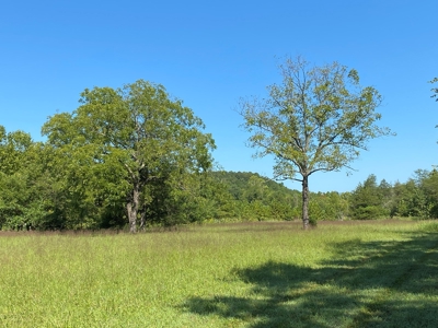 Arkansas Acreage With Big Spring - image 8