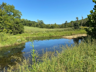 Arkansas Acreage With Big Spring - image 9