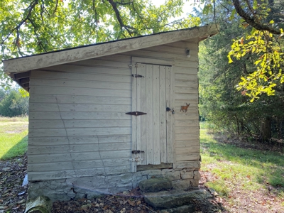 Arkansas Acreage With Big Spring - image 33