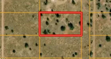 Near the Grand Canyon! - image 1