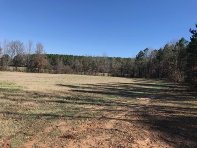 92+/- Acres In Bowie County, Texas - image 3