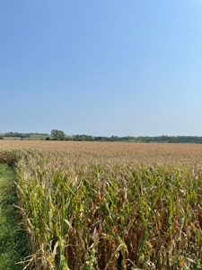 Tract 3 Gerald E Luke & Mary E Luke Trust Farm Land Auction - image 16