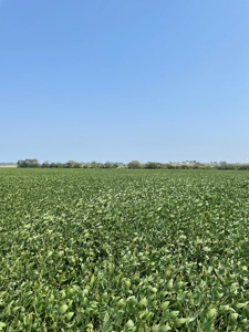 Tract 3 Gerald E Luke & Mary E Luke Trust Farm Land Auction - image 13
