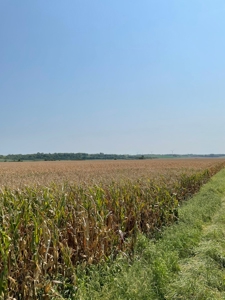 Tract 3 Gerald E Luke & Mary E Luke Trust Farm Land Auction - image 14