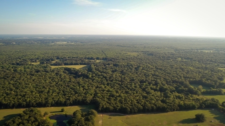 Recreational & Hunting Land Property For Sale Bogata Texas - image 9