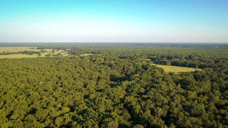 Recreational & Hunting Land Property For Sale Bogata Texas - image 12