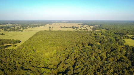 Recreational & Hunting Land Property For Sale Bogata Texas - image 2