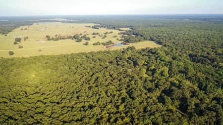 Recreational & Hunting Land Property For Sale Bogata Texas - image 3