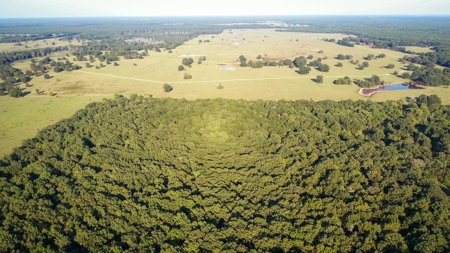 Recreational & Hunting Land Property For Sale Bogata Texas - image 4