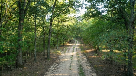 Recreational & Hunting Land Property For Sale Bogata Texas - image 15