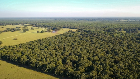 Recreational & Hunting Land Property For Sale Bogata Texas - image 7
