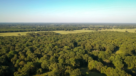 Recreational & Hunting Land Property For Sale Bogata Texas - image 14