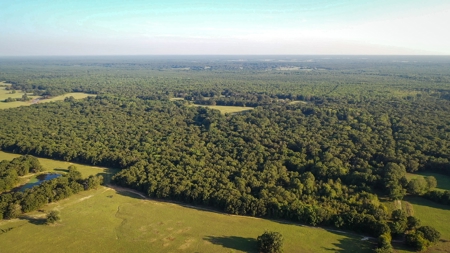 Recreational & Hunting Land Property For Sale Bogata Texas - image 11