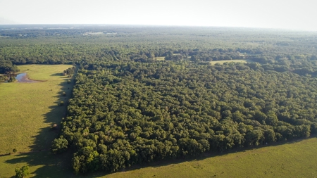 Recreational & Hunting Land Property For Sale Bogata Texas - image 5