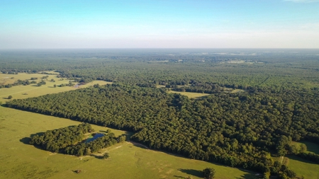 Recreational & Hunting Land Property For Sale Bogata Texas - image 10