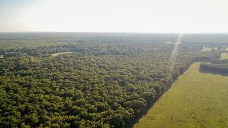 Recreational & Hunting Land Property For Sale Bogata Texas - image 6