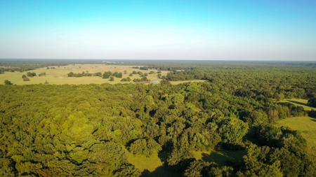 Recreational & Hunting Land Property For Sale Bogata Texas - image 13