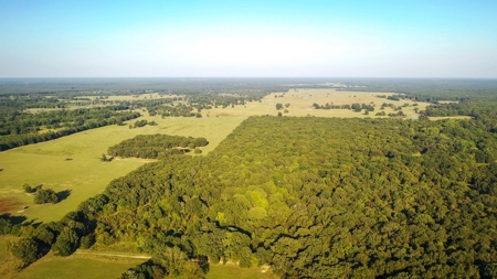 Recreational & Hunting Land Property For Sale Bogata Texas - image 1