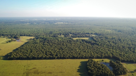 Recreational & Hunting Land Property For Sale Bogata Texas - image 8