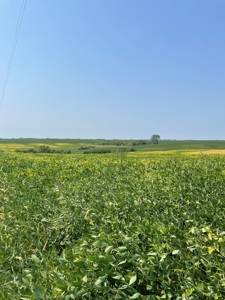 Tract 2 Gerald E Luke & Mary E Luke Trust Farm Land Auction - image 19