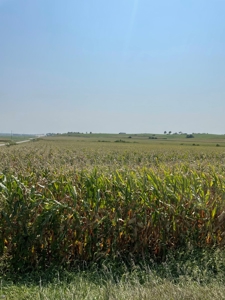 Tract 1 Gerald E Luke & Mary E Luke Trust Farm Land Auction - image 35