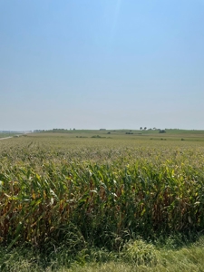 Tract 1 Gerald E Luke & Mary E Luke Trust Farm Land Auction - image 38