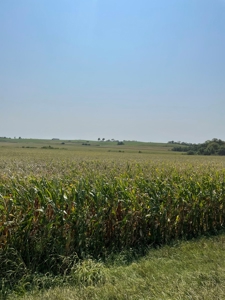 Tract 1 Gerald E Luke & Mary E Luke Trust Farm Land Auction - image 39