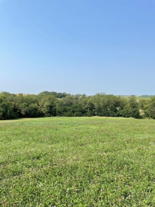 Tract 1 Gerald E Luke & Mary E Luke Trust Farm Land Auction - image 13