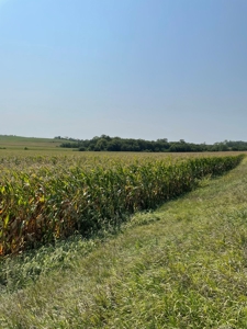 Tract 1 Gerald E Luke & Mary E Luke Trust Farm Land Auction - image 37