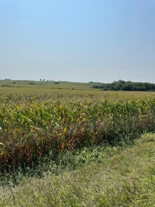 Tract 1 Gerald E Luke & Mary E Luke Trust Farm Land Auction - image 36