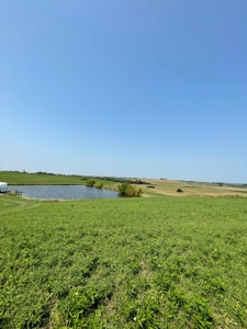 Tract 1 Gerald E Luke & Mary E Luke Trust Farm Land Auction - image 26