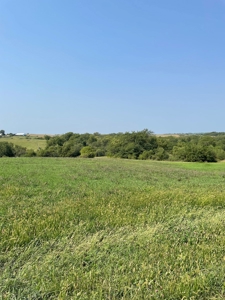 Tract 1 Gerald E Luke & Mary E Luke Trust Farm Land Auction - image 3