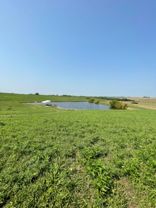 Tract 1 Gerald E Luke & Mary E Luke Trust Farm Land Auction - image 24