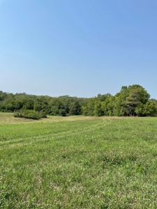 Tract 1 Gerald E Luke & Mary E Luke Trust Farm Land Auction - image 8
