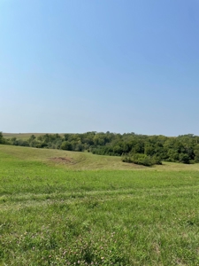 Tract 1 Gerald E Luke & Mary E Luke Trust Farm Land Auction - image 9